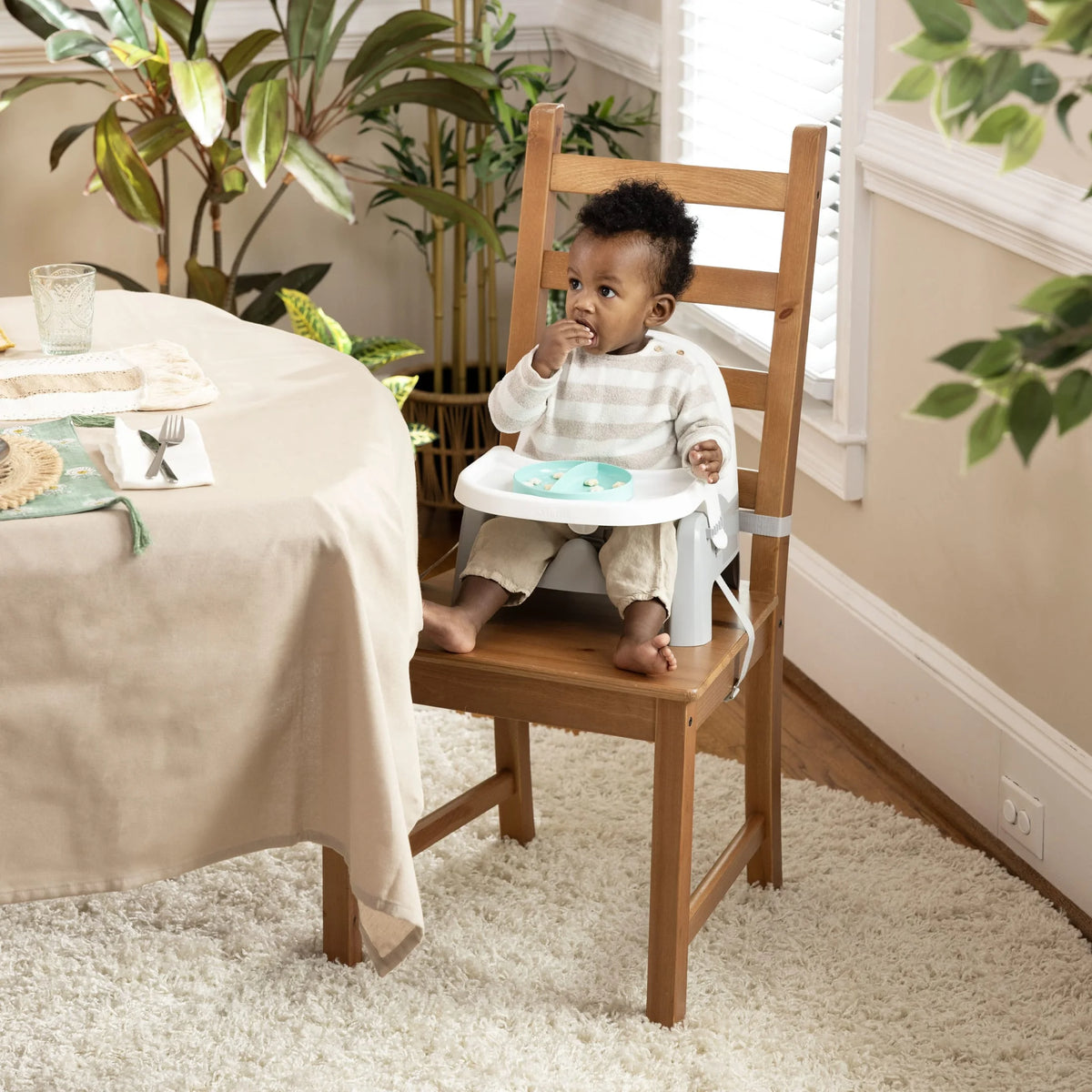 Deluxe Learn-To-Dine Feeding Seat, Ages 6 Months to 3 Years, Orange and Teal